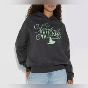 Fabulously Wicked Charcoal Hoodie